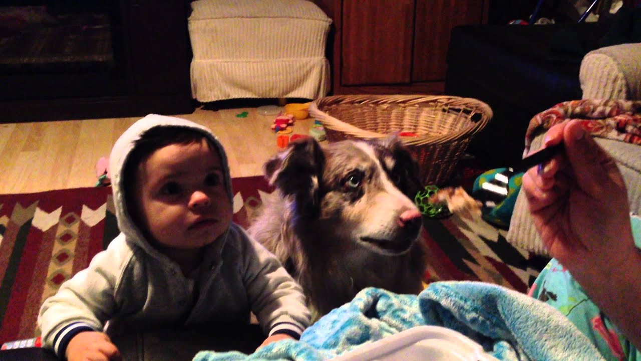 Mom offers food to baby if he can say "mama." Hungry dog says it first. Baby smacks dog. by c_prompt channel